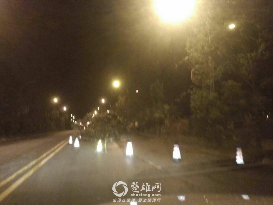 楚雄昨晚狂风大作电闪雷鸣，绿化植被损失惨重，小鸟尸横遍野