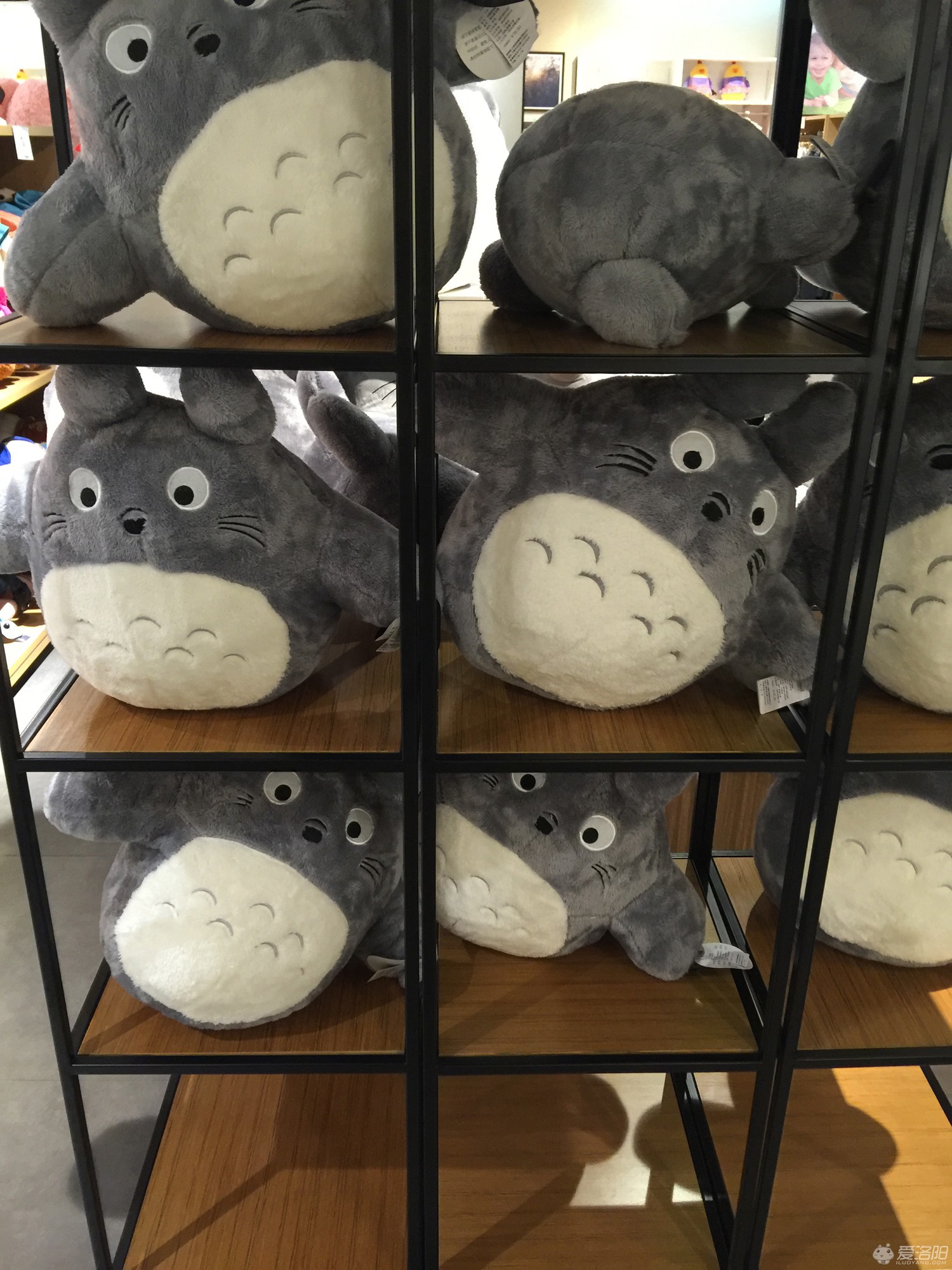 洛阳这些好看不贵的家居饰品店，撩拨你的少女心~