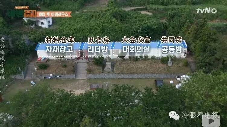 实验性艺术是什么,真人秀到底有多假