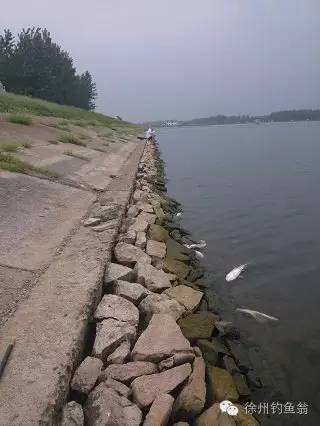 内乡县余关镇杨洼水库,杨洼水库游玩