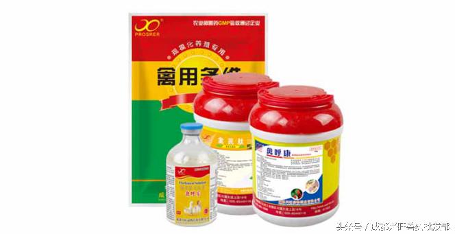 鸡传染病鼻炎用什么药冶,鸡鼻炎流感治疗