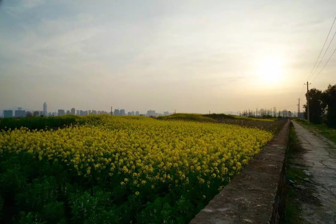 微博为什么会存在被盗风险,微博怎么被盗的