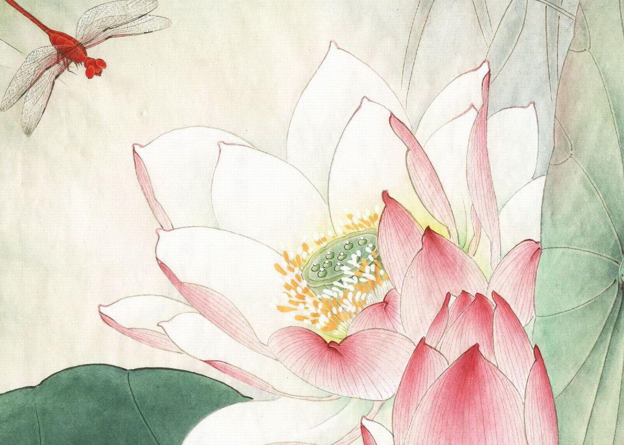 工笔粉红荷花教程,工笔荷花画法入门
