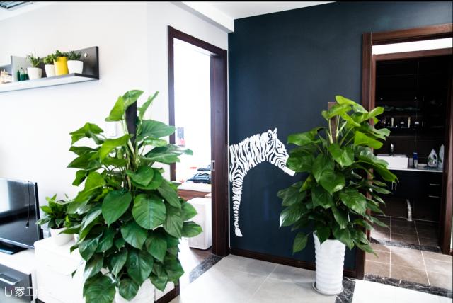 旧房改造设计60平米,旧房改造装修案例分享