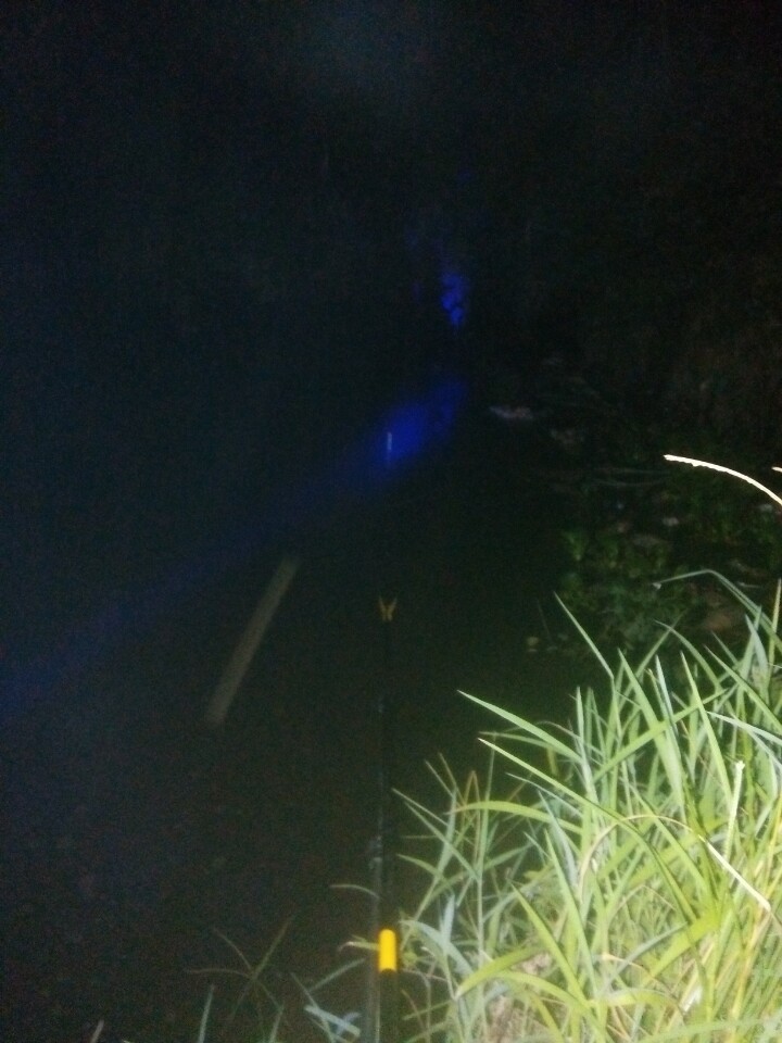 閽撶殑鐢查奔杩樿兘娲诲悧,閽撲笂鏉ョ殑鐢查奔鏈夊繉璁冲悧