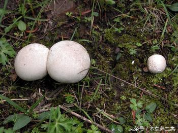 咽部红肿充血用什么清热解毒,病毒性咽喉肿痛一招解决