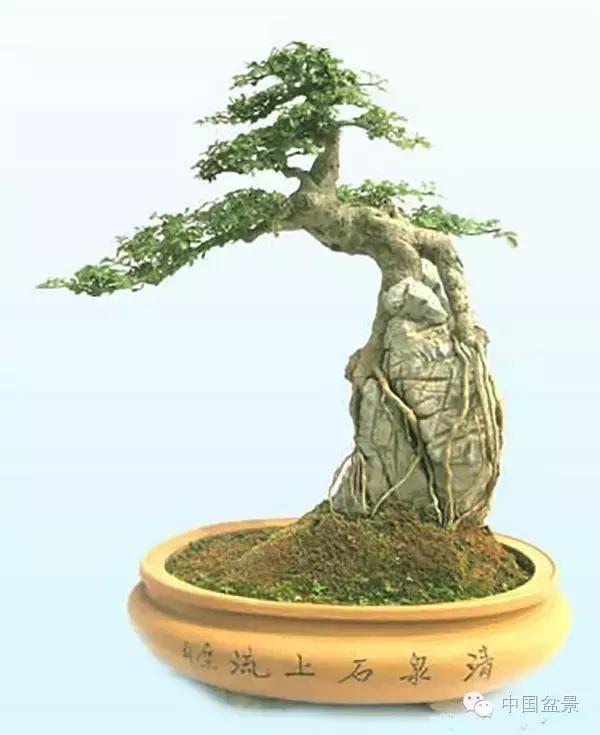 相识满天下知己有几人谁说的,相识满天下知己无一人出处