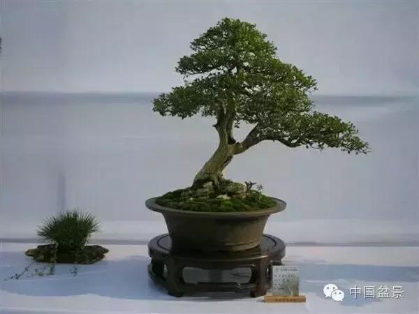 相识满天下知己有几人谁说的,相识满天下知己无一人出处