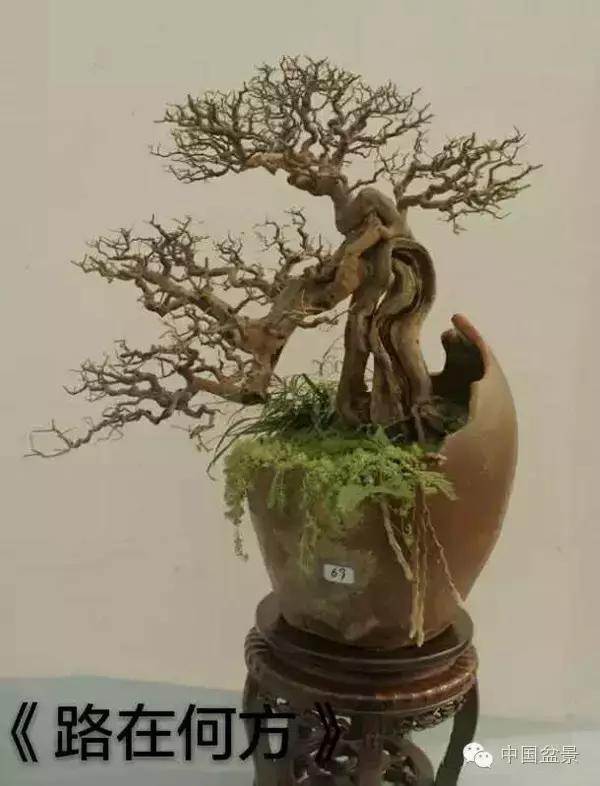 相识满天下知己有几人谁说的,相识满天下知己无一人出处