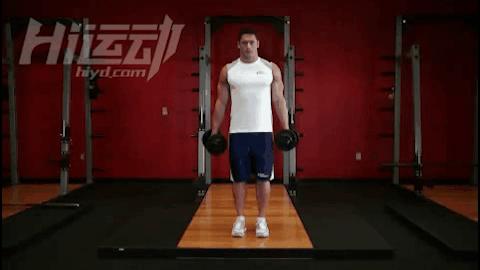 哑铃天天练还是隔天练增肌效果好,哑铃全身增肌锻炼最全完整版