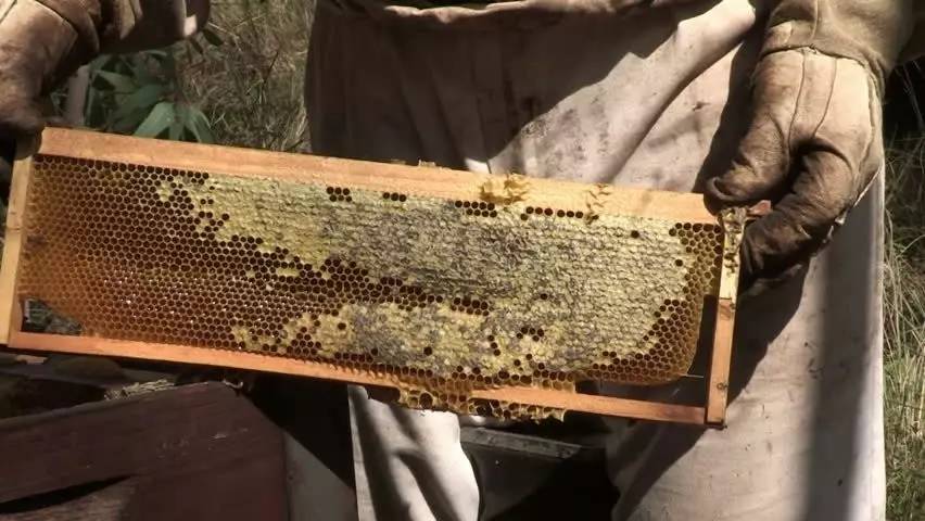 老中医蜂蜜系列,老中医秘制蜂蜜