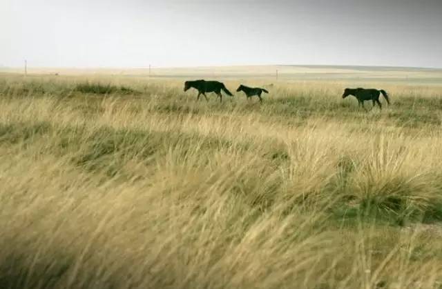 英语常见量词用法大全,英语中各种量词的用法