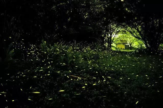 与摄影师骑行脚踏车体验台北市民生活