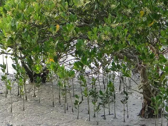 与摄影师骑行脚踏车体验台北市民生活