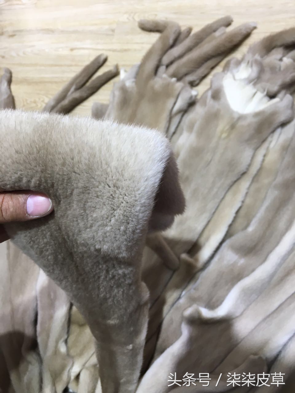 皮草怎么看好坏视频,高仿皮草怎么样鉴别好坏