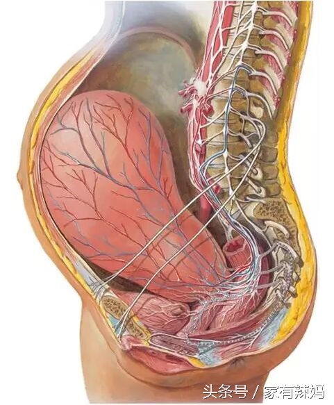 产后瘦身运动完整版,产后瘦身视频完整教程