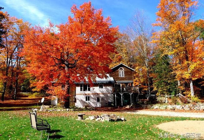 准备去加拿大留学的孩子,去加拿大看朋友需要办什么手续
