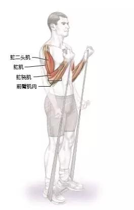 足球运动应该注重什么力量,足球上肢力量训练