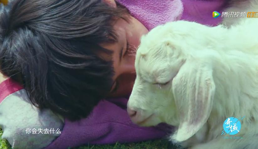 奇域探秘新丝路纪录片哪里可看,奇域探秘新丝路