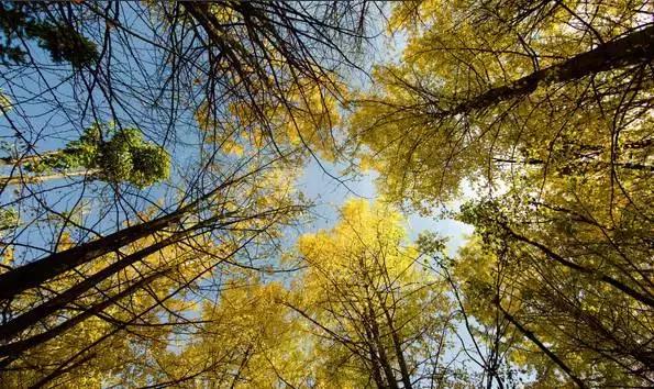 旅行中不期而遇的美好瞬间,旅行遇见一路风景山美水美
