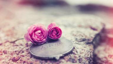 脸上长暗疮痘痘是什么原因,脸上下巴长痘痘是什么原因引起的