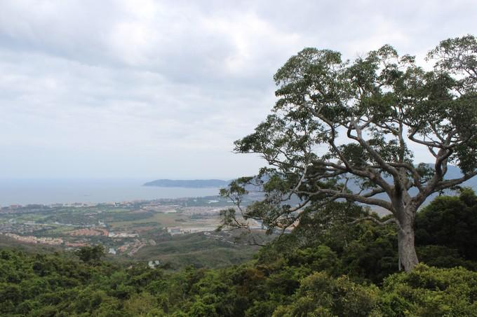 和闺蜜一起去三亚旅游的视频,和闺蜜去三亚旅游