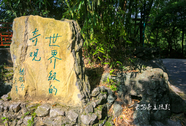 贵州多彩贵州风五日游,走进多彩贵州欣赏贵州美景
