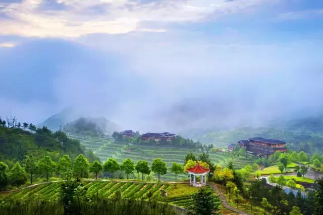 走进中国茶都安溪,看看是怎么样的一座城市