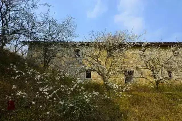 走进中国茶都安溪,看看是怎么样的一座城市