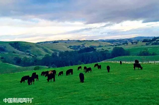 外国人买澳洲农场,澳洲农场价格表