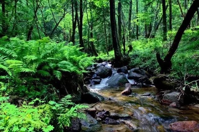 山西身份证为什么是14开头,山西身份证14开头