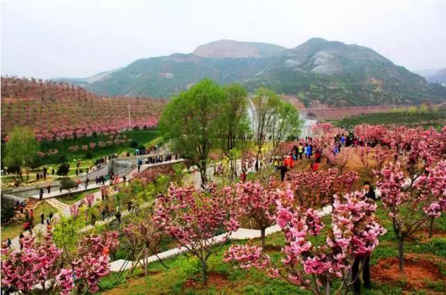 山西身份证为什么是14开头,山西身份证14开头