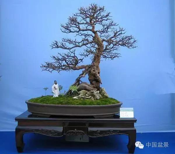 相识满天下知己有几人谁说的,相识满天下知己无一人出处