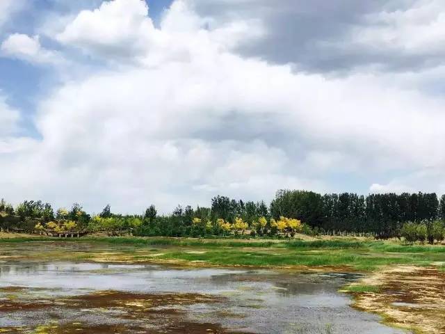 东坝和望京,望京好还是东坝好