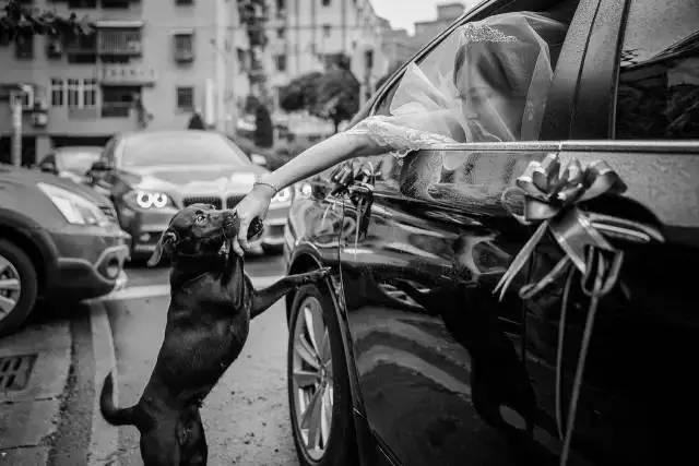 花了一个月工资拍婚纱照值得吗,拍一套婚纱照赚多少钱