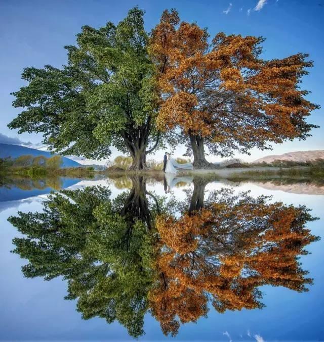 花了一个月工资拍婚纱照值得吗,拍一套婚纱照赚多少钱