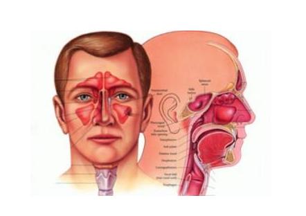 张剑云耳鼻喉专家-中医如何治疗耳鼻喉疾病