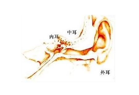 张剑云耳鼻喉专家-中医如何治疗耳鼻喉疾病