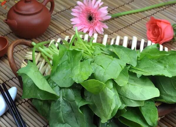 夏天怎么祛除上火痘痘小妙招,夏天上火长痘该吃什么