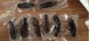 家常菜葱爆海参的家常做法,国宝级大厨教你做葱爆海参