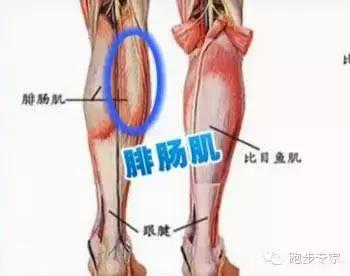 小腿酸痛放松小妙招,小腿酸痛怎么解决吃什么药