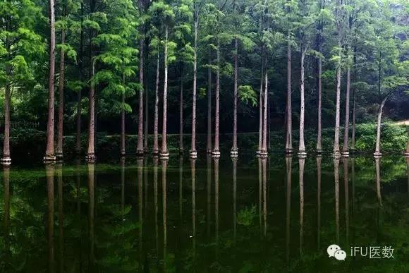 骨科杨茂伟,足部风湿性关节炎