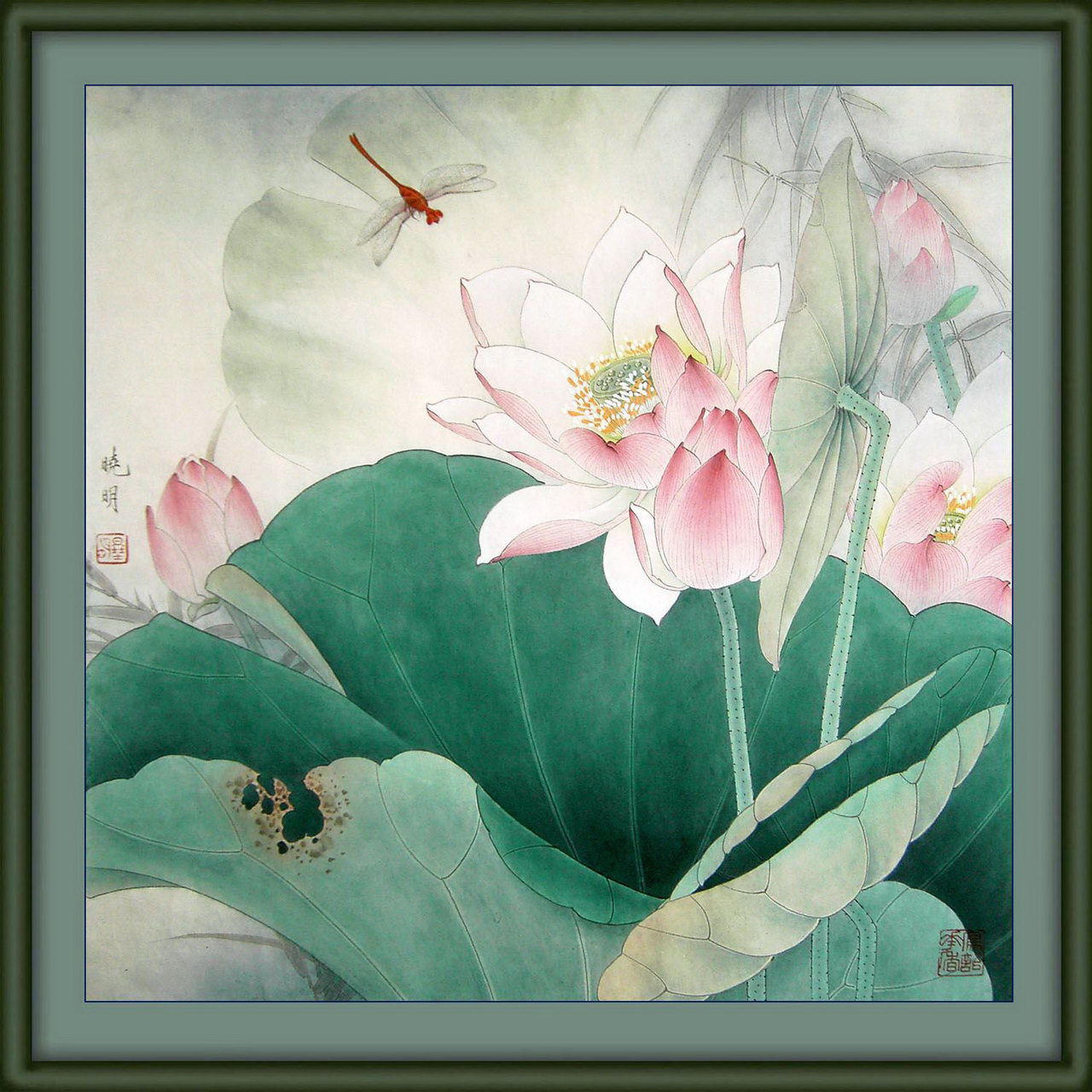 工笔粉红荷花教程,工笔荷花画法入门