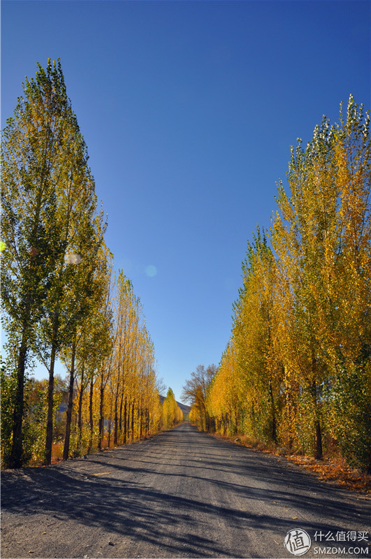 冬季自驾游阿里的攻略,兴安自驾游一日游路线攻略