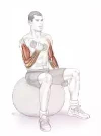 足球运动应该注重什么力量,足球上肢力量训练