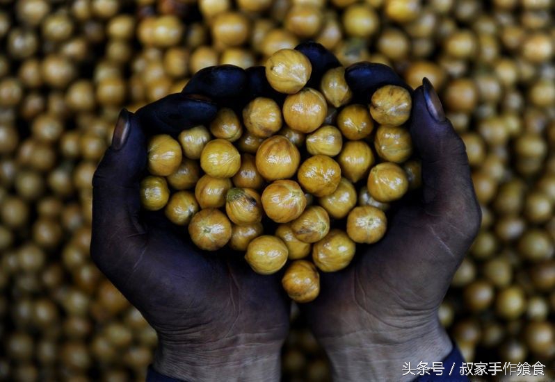 “绩溪大帝国”的英雄,爸妈喊你回家打山核桃啦