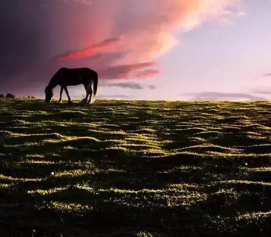 旅行西藏边界,新疆旅游景点推荐江布拉克