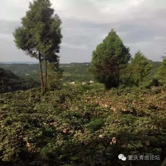 为了大山里的孩子上学,为了山里的孩子读书