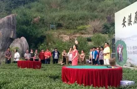 走进中国茶都安溪,看看是怎么样的一座城市