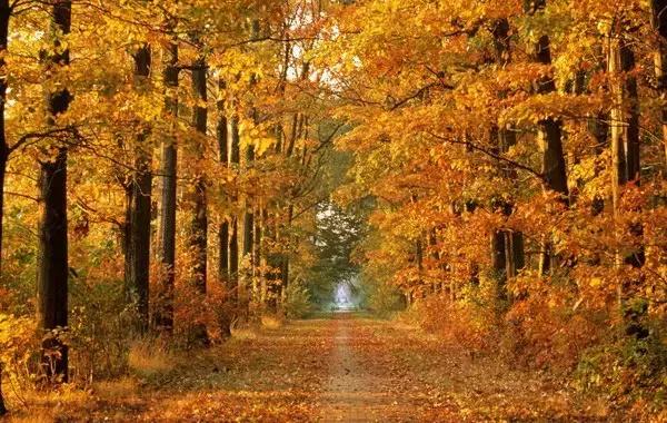 山西身份证为什么是14开头,山西身份证14开头